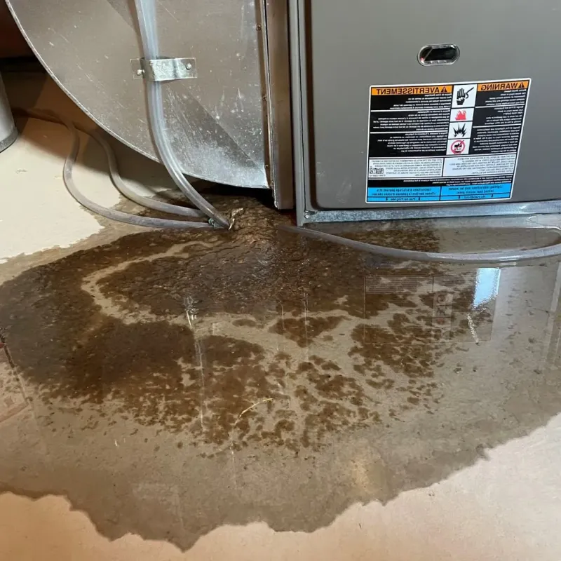 Pipe Burst and Leak Restoration in Leflore County, MS