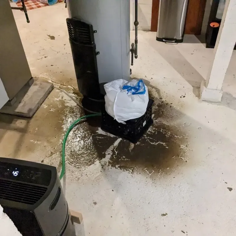 Sewage Backup Cleanup Service in Leflore County, MS